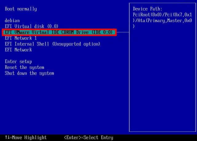 VMware EFI options