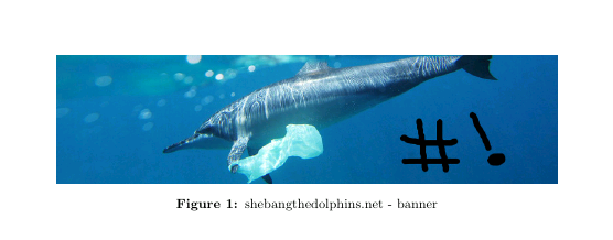 Exemple de bannière en LaTeX présentant une image d'un dauphin avec une annotation personnalisée et la légende « shebangthedolphins.net - banner ».