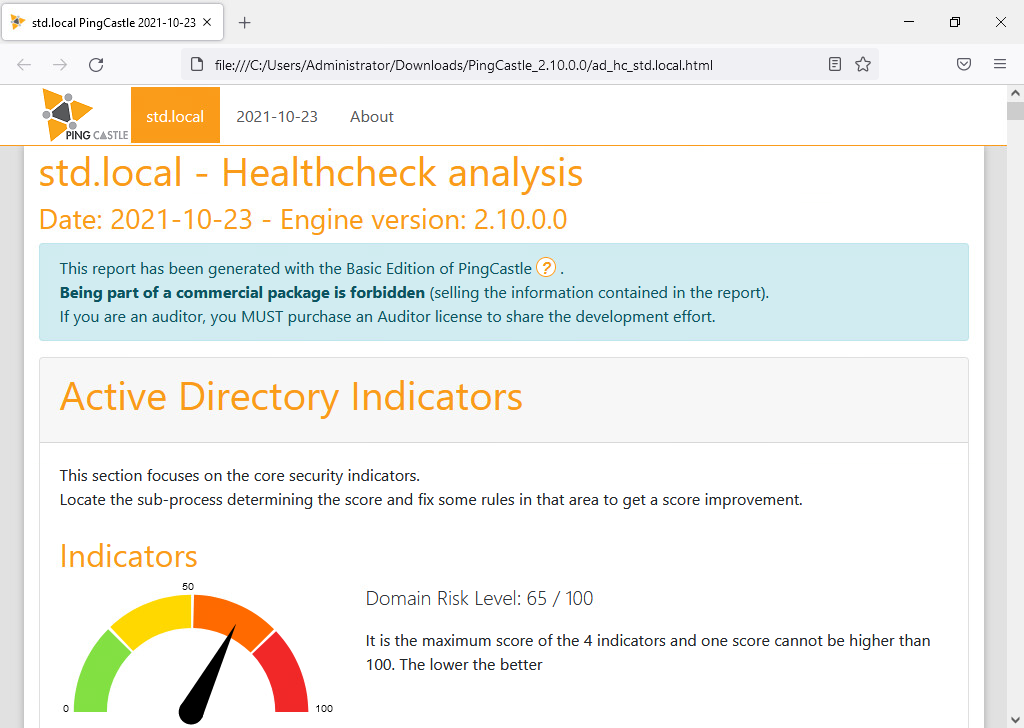 Rapport de contrôle de santé Ping Castle pour le domaine std.local, montrant la date, la version du moteur et les indicateurs de risque Active Directory avec un score de 65/100.