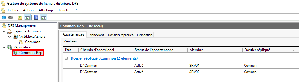 Capture d'écran de la console de gestion DFS montrant le groupe de réplication Common_Rep avec deux dossiers répliqués sur SRV01 et SRV02, tous deux avec le chemin local D:\Common et le statut d'appartenance activé.