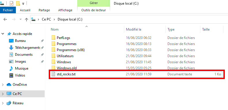 Capture d'écran du répertoire Local Disk (C :) montrant un document texte nommé std_rocks.txt mis en évidence