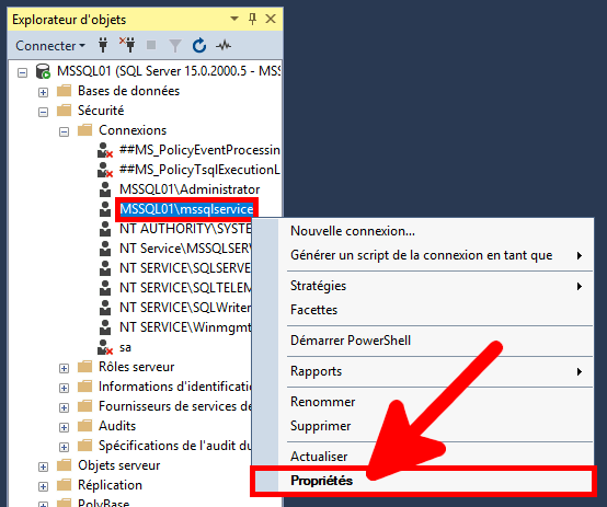 MSSQL Management Studio | Explorateur d'objet, Connexions, Propriétés de l'utilisateur.