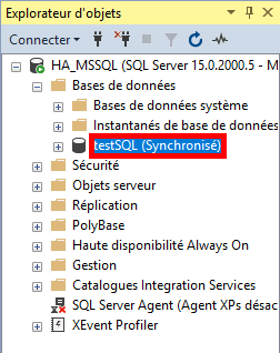 MSSQL Management Studio | Base de données, synchronisé.