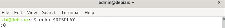 Linux Terminal echo $DISPLAY