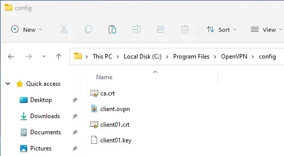 Windows 11, OpenVPN certificates.