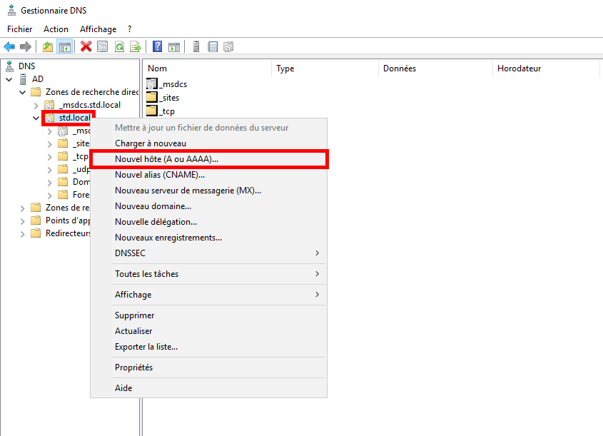 DNS Manager showing the 'New Host (A or AAAA)' option under the domain.