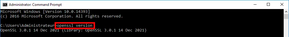 openssl version test