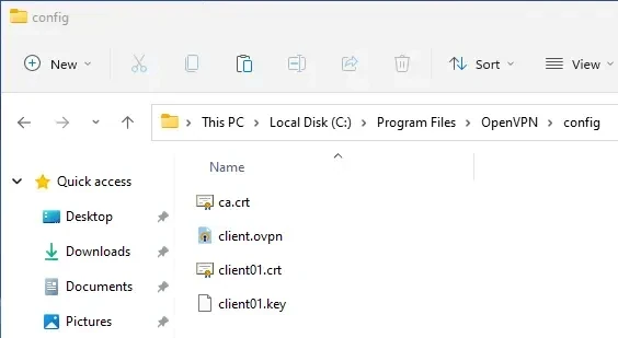 Client files Windows 11, OpenVPN certificates.